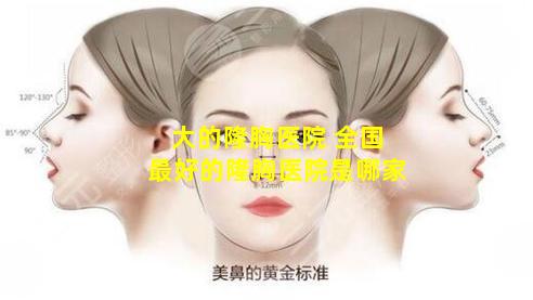 大的隆胸医院 全国最好的隆胸医院是哪家